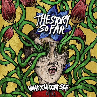The Story So Far - What You Don't See (2026 Reissue)