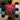 Eco Mix Random Colour