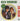 Sun Dragon - Green Tambourine