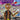Juice Wrld - The Party Never Ends
