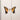 Paramore - Brand New Eyes