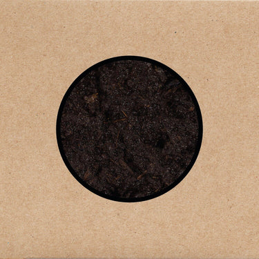 Swans - Birthing