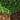 C418 - MINECRAFT VOLUME ALPHA