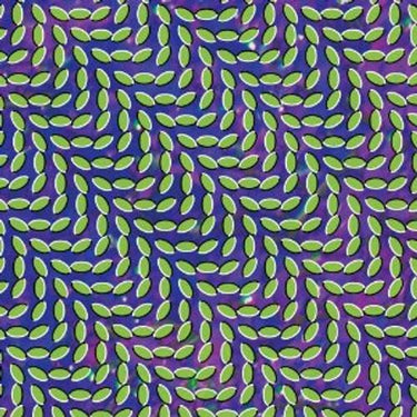 Animal Collective - Merriweather Post Pavilion