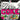 Coke - Coke (2025 Reissue)