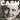 Johnny Cash - American Vi: Aint No Grave