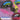 Happy Mondays - Bummed