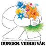 Dungen - Vidrig Var