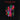 Foo Fighters - Wasting Light