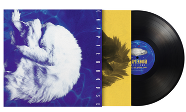 Black Vinyl 1LP