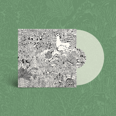 Cloudy Clear Vinyl LP