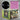 Black Vinyl LP