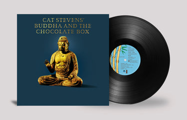 Black Vinyl 1LP