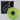 The Holy Sons - The Fact Facer