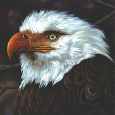 Mogwai - The Hawk Is Howling