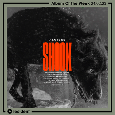 Algiers - Shook