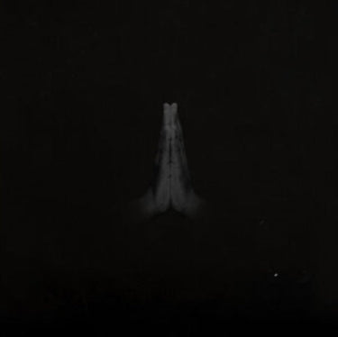 Sault - Untitled (Rise)